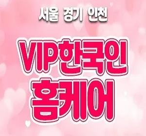 서울-VIP한국인홈케어