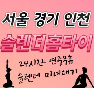서울,인천,경기-슬렌더홈타이