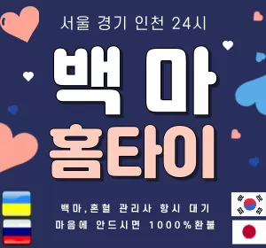 서울,인천,경기-백마홈타이