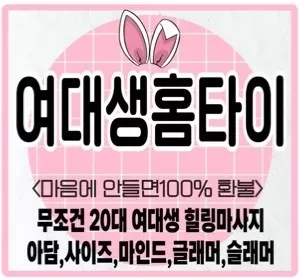 서울,경기,인천-여대생홈타이