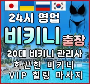 서울,인천,경기-비키니홈타이