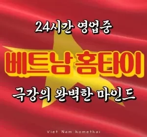 서울,인천,경기-베트남홈타이